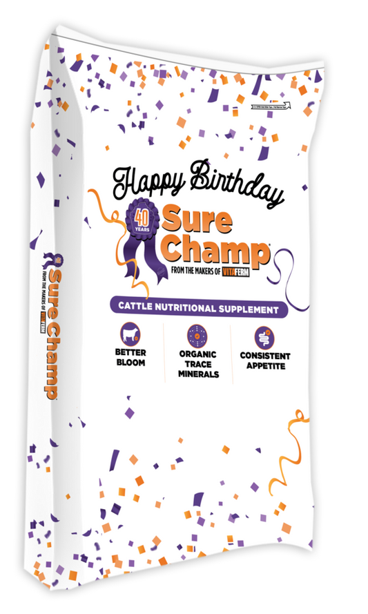 Sure Champ® Cattle