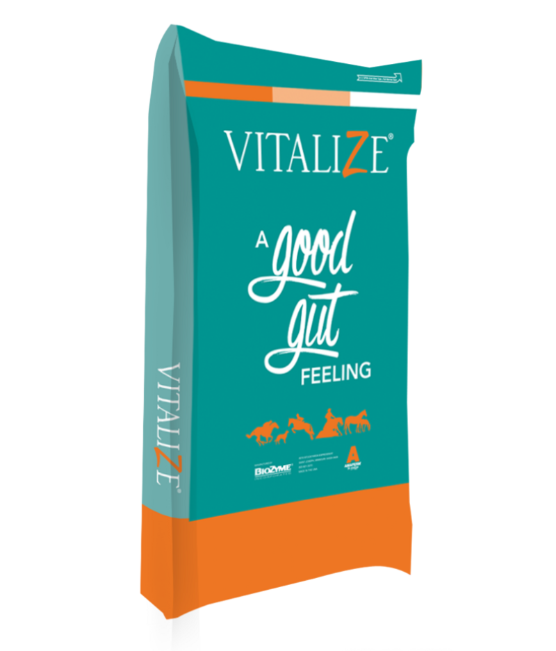 Vitalize® Equine High Performance