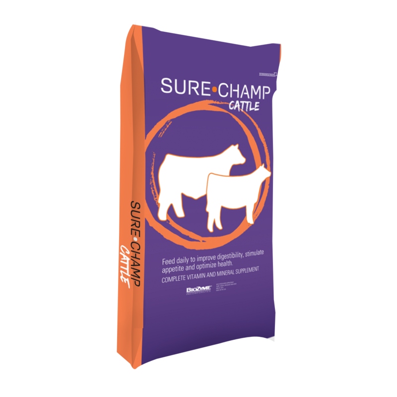Sure Champ® Cattle