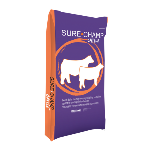 Sure Champ® Cattle
