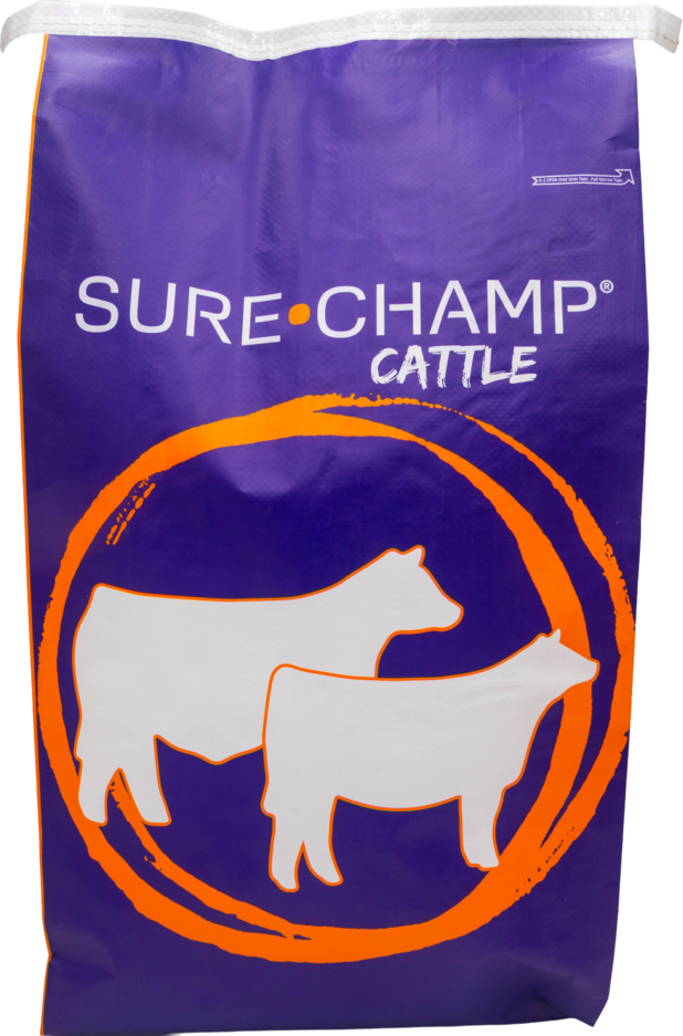 Sure Champ® Cattle