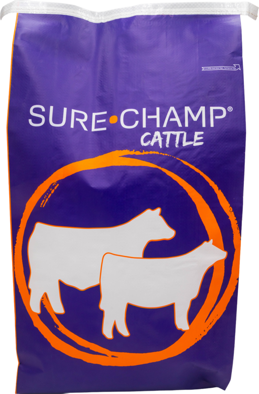 Sure Champ® Cattle