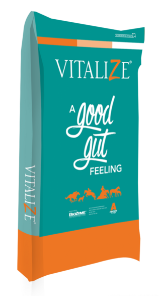 Vitalize® Equine High Performance