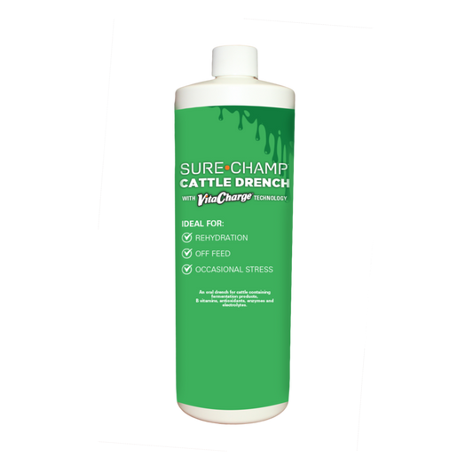 Sure Champ® Cattle Drench