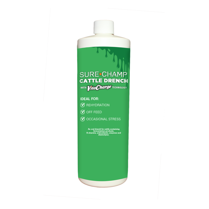 Sure Champ® Cattle Drench