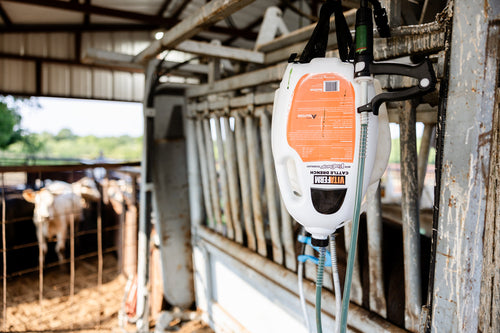 VitaFerm® Cattle Drench